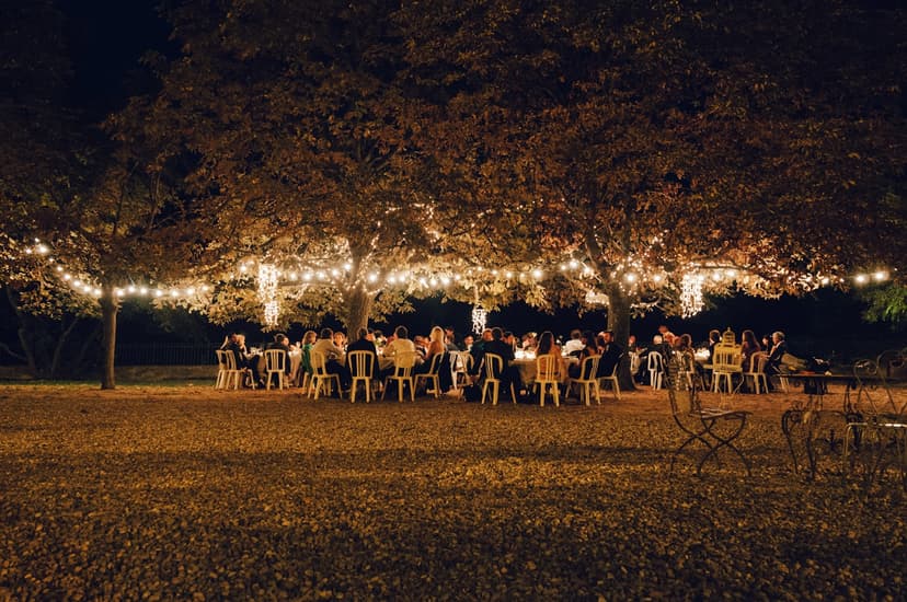 Bodas